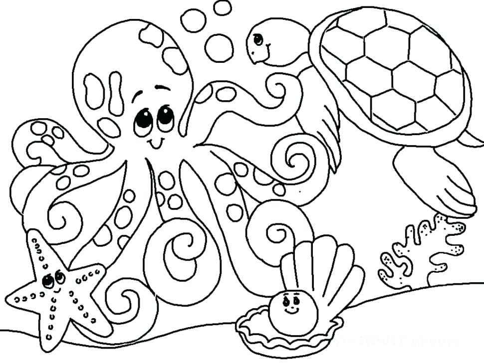 970x728 Zoo Coloring Book Zoo Coloring Pages Animals Page Animal Printable