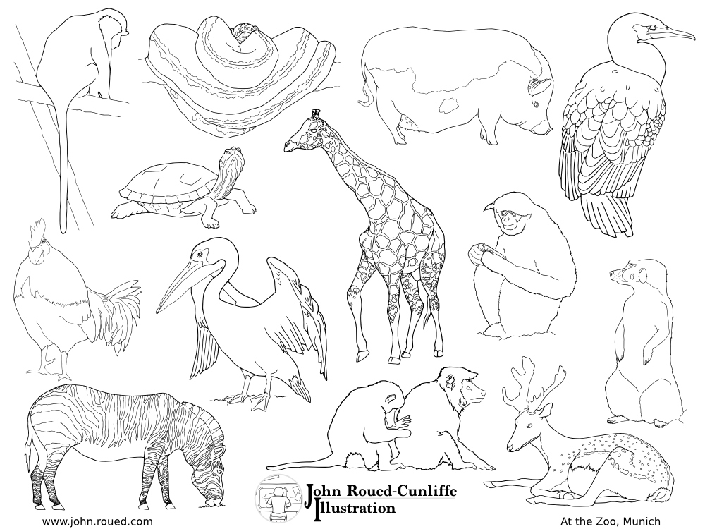 1000x750 Zoo Coloring Pages Fresh Empty Zoo Coloring Pages Coloring Pages