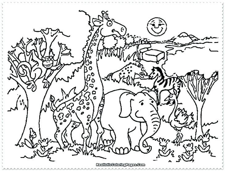 728x553 Zoo Coloring Sheet Zoo Coloring Sheet Zoo Coloring Pages Zoo