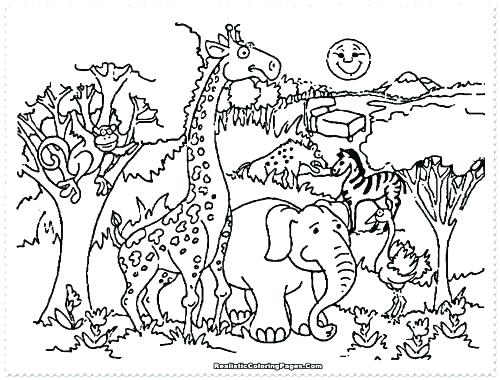 500x380 Coloring Pages Zoo Animals Fresh Zoo Animals Coloring Pages