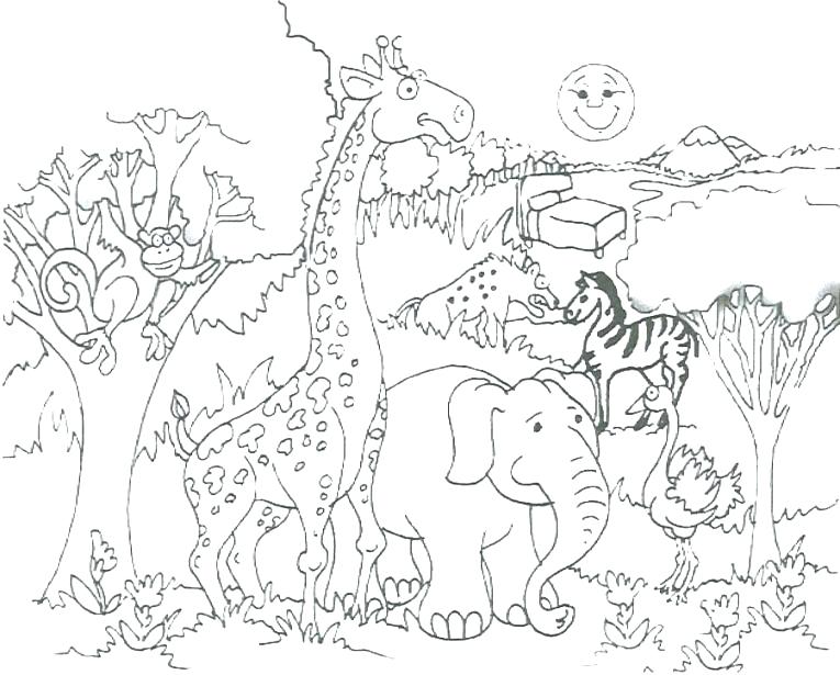 765x615 Put Me In The Zoo Coloring Page Put Me In The Zoo Coloring Page