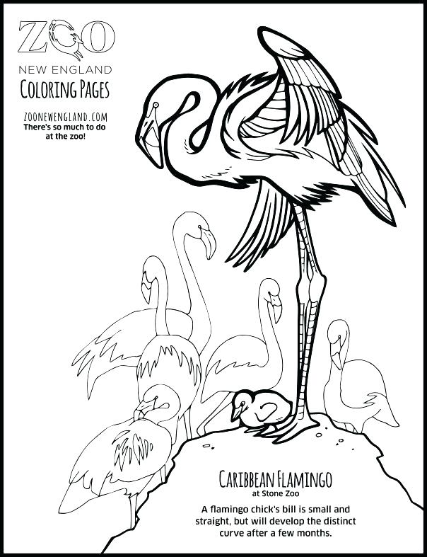 604x787 Put Me In The Zoo Coloring Page Zookeeper Coloring Page Zoo New