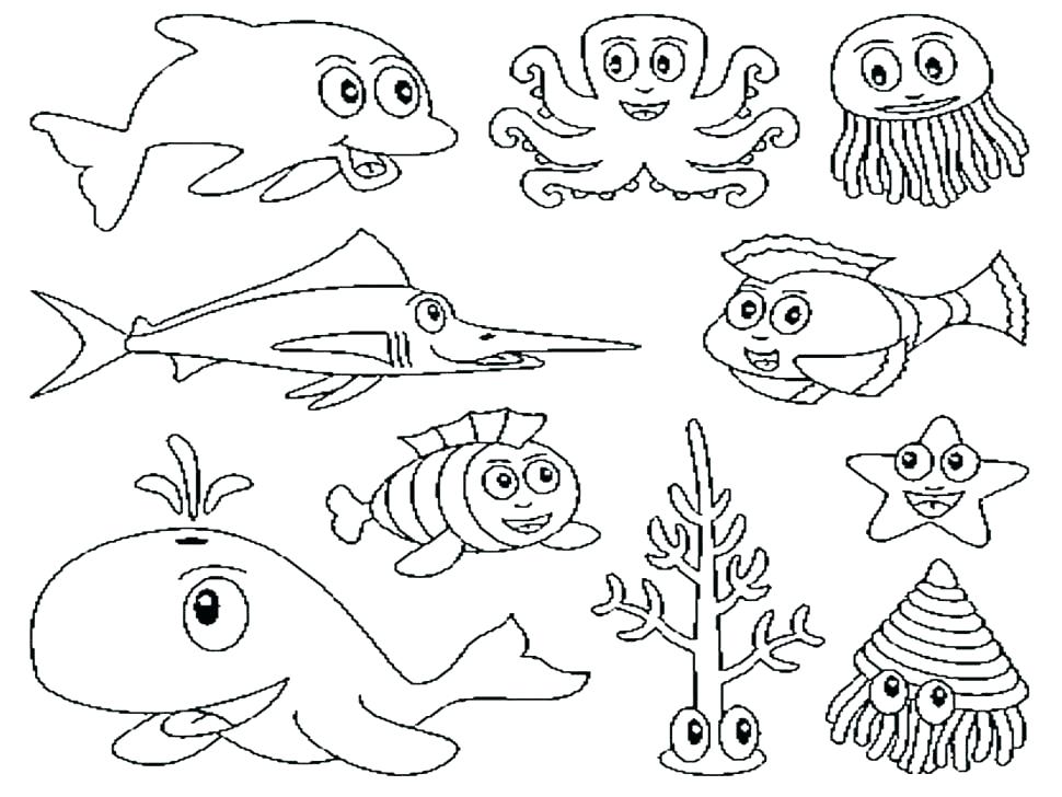 970x728 Zoo Coloring Book Zoo Animal Coloring Pages For Animals Book Zoo