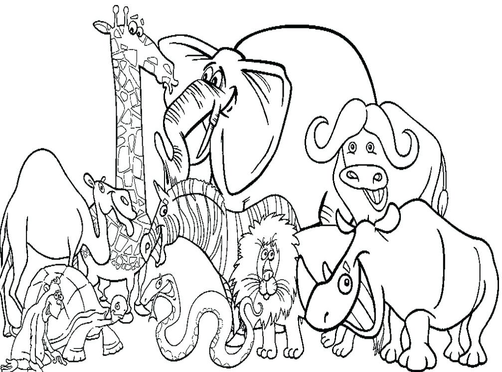 1007x745 Zoo Coloring Page Zoo Coloring Page Animal Free Printable Pages