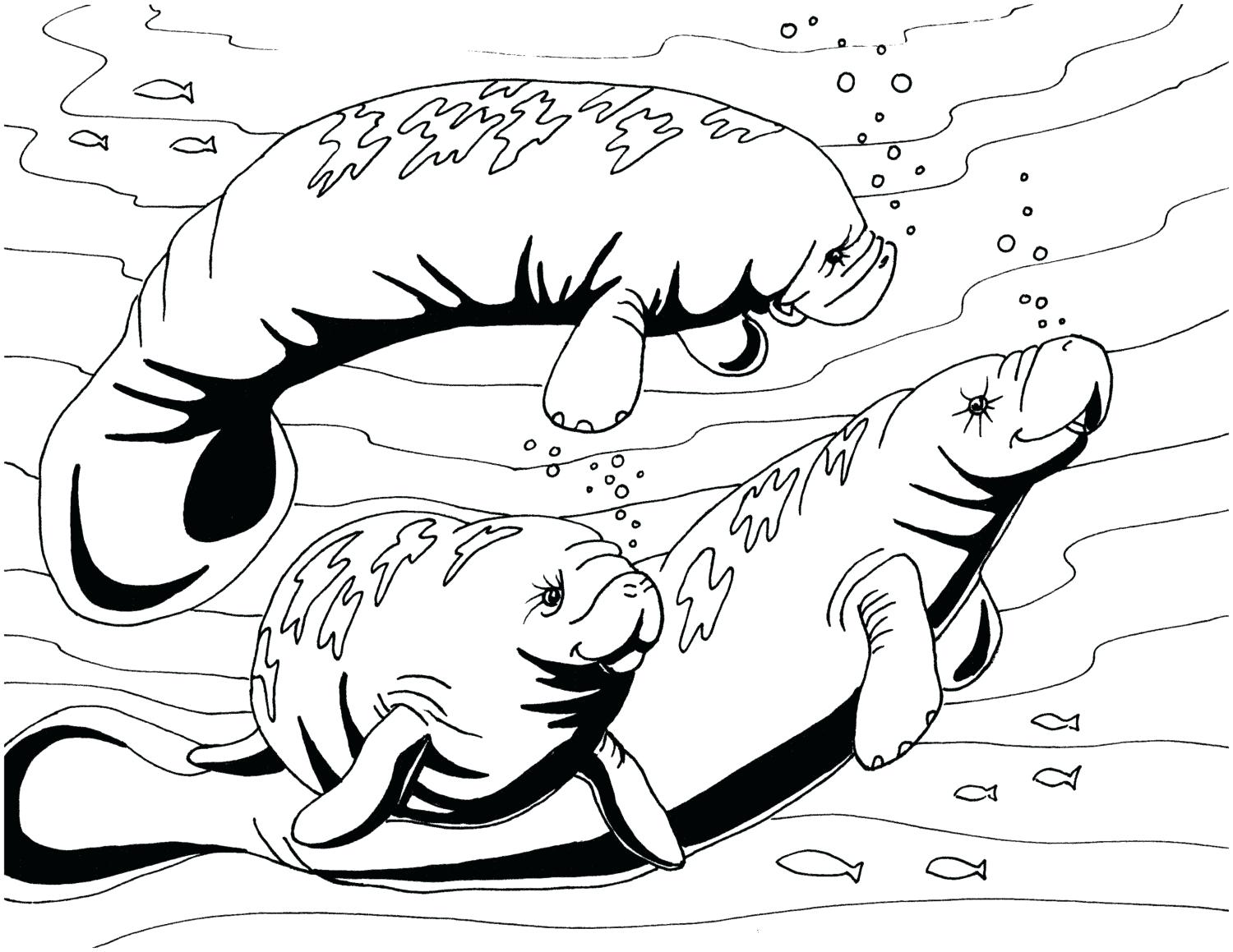 1500x1159 Manatee Coloring Page Embroidery Pattern Sea Cow Art Relaxing