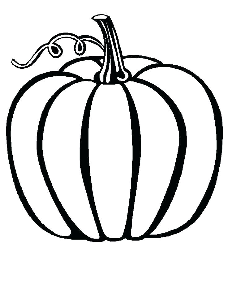 736x981 Squash Coloring Page Squash Coloring Page Acorn Squash Coloring