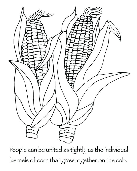 576x720 Squash Coloring Page Summer Squash Or Zucchini Coloring Page