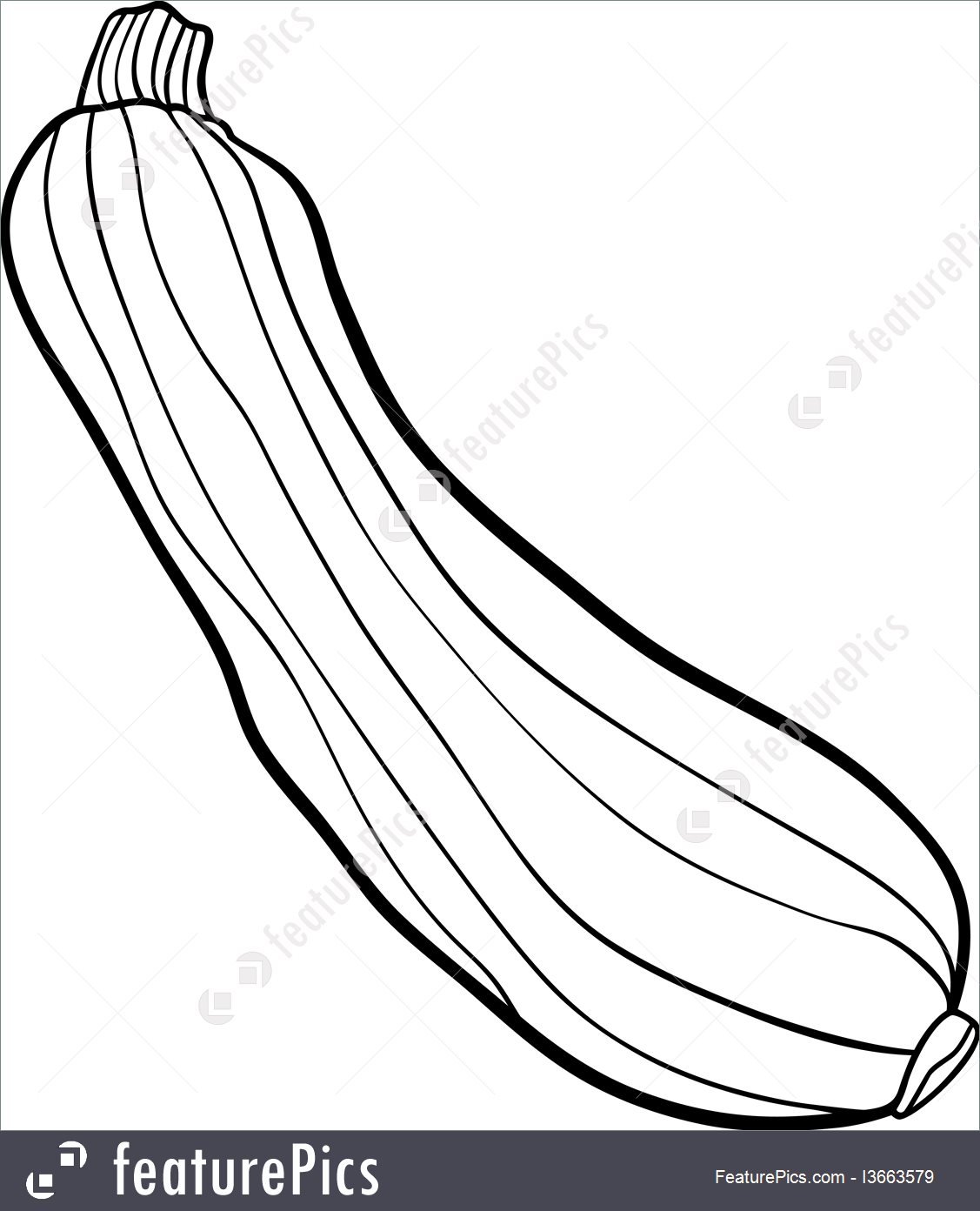 1127x1392 Food Zucchini Vegetable Cartoon For Coloring Book