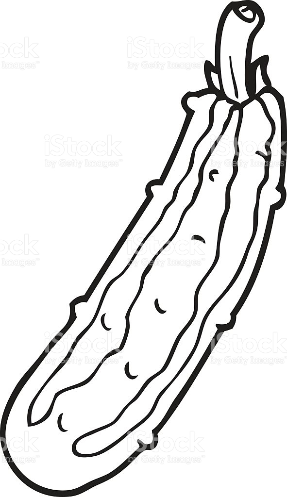 591x1024 Zucchini Clipart Black And White