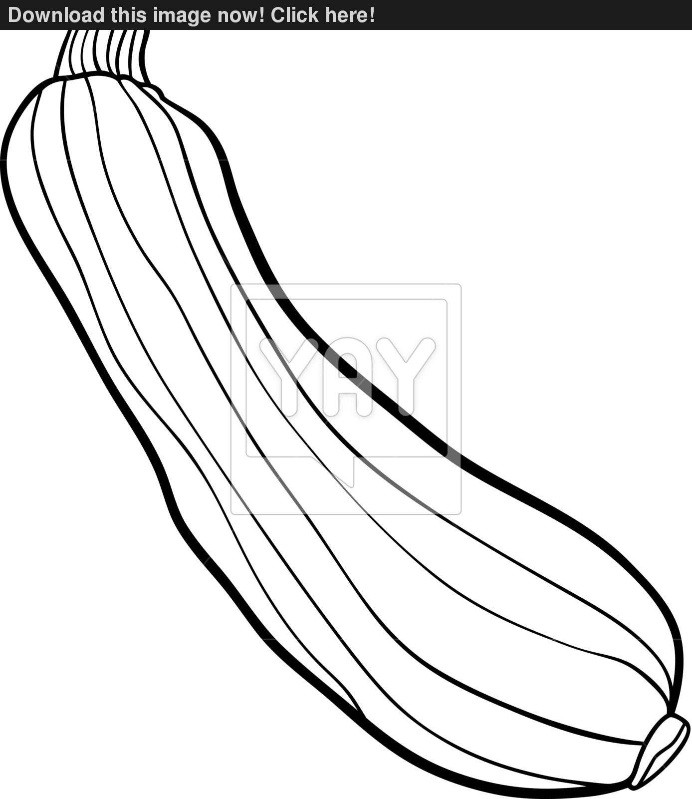1387x1600 Zucchini Vegetable Cartoon For Coloring Book Vector