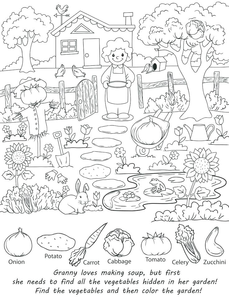 736x952 Hidden Pictures Coloring Pages Images About Beautiful Hidden
