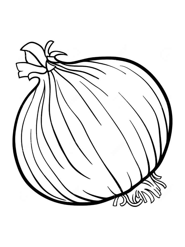 750x1000 Onion Clipart Colouring