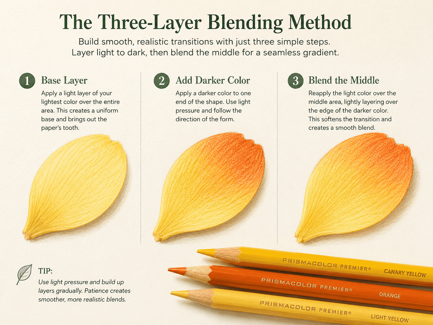 Three-layer colored-pencil blending method using yellow and orange on a flower petal